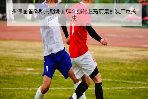 张伟丽备战新周期地面缠斗强化卫冕前景引发广泛关注